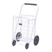Narita Super Shopping Cart