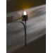 Antasia 6.2" One Light Wall Sconce