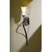 Sweeping Taper 29" One Light Wall Sconce in Dark Smoke