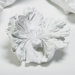Large Volcano Flower in White
