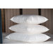 Single Shell 75 / 25 Firm Pillow