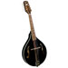 Kentucky A-Model Mandolin