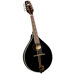 Kentucky A-Model Mandolin with Sound Hole