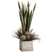 26" Sansevieria and Lavender Plant Arrangement with Pot