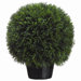 20" Cedar Ball Topiary with Plastic Pot