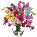 12" Sweetpea in Glass Vase