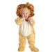 Lion Costume