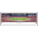NFL Panorama