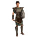 Clash Of The Titans Perseus Adult Costume