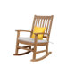 Palm Beach Rocking Arm Chair