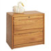 Contemporary Lateral 2 Drawer File