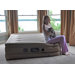 Raised Twin Air Mattress