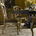 Grand Continental Side Chair