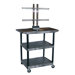 Mobile Plasma / LCD Stand (40" High)
