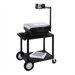 26" H AV Cart