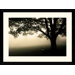 Shenandoah by Andy Magee Framed Fine Art Print - 28.62" x 38.62"