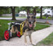 Dog Wheelchair