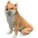 Mid Size Shiba Inu Sculpture in Fawn