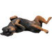 Original Size Rottweiler Sculpture
