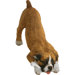 Small Size Playful Boxer Sculpture in Fawn