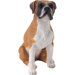 Small Size Sitting Boxer Sculpture in Fawn