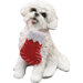 Sitting Bichon Frise Christmas Ornament