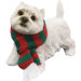 Standing West Highland Terrier Christmas Ornament