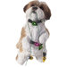 Standing Gold Shih Tzu Christmas Ornament