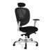 Mesh Executive Chair with Headrest