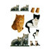 Komar Freestyle Kitty Decals