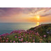 Komar Land's End Wall Mural
