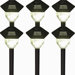 Solar Power Carriage Path Light