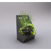 Patience Indoor / Outdoor Planter