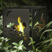 Four Cottage Bio Ethanol Fireplace