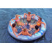 Social Circle Pool Float