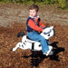 Zebra Spring Rider