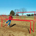 Parallel  Bars