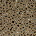 Madison 12" x 12" Vinyl Stone Tiles (Set of 9)
