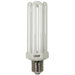 T4 Compact Fluorescent Light Bulb