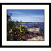 Summer Harbor Framed Photograph