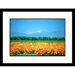 California Valley Poppies Framed Photograph