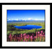 Mount McKinley Framed Photograph