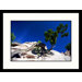 Window Rock Arizona Framed Photograph - James Denk