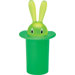 Magic Bunny Magnet