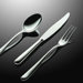 Caccia 24 Piece Flatware Set