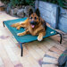 Elevated Indoor/Outdoor Pet Cot for Large Breeds