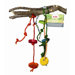 Living World Wacky Branch  Hookbill Bird Toy