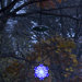 Single 6" LED Solar Tree Light Style 5 in Blue and White
