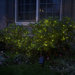 100-LED Solar String Lights in Green