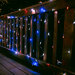 200-LED Solar Net Lights with Green Wire